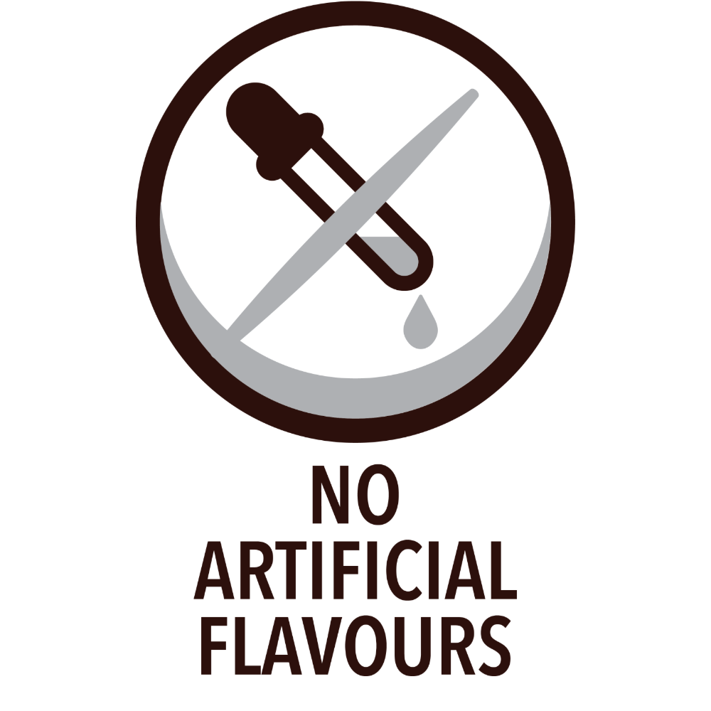 Icon_No Artifical Flavours